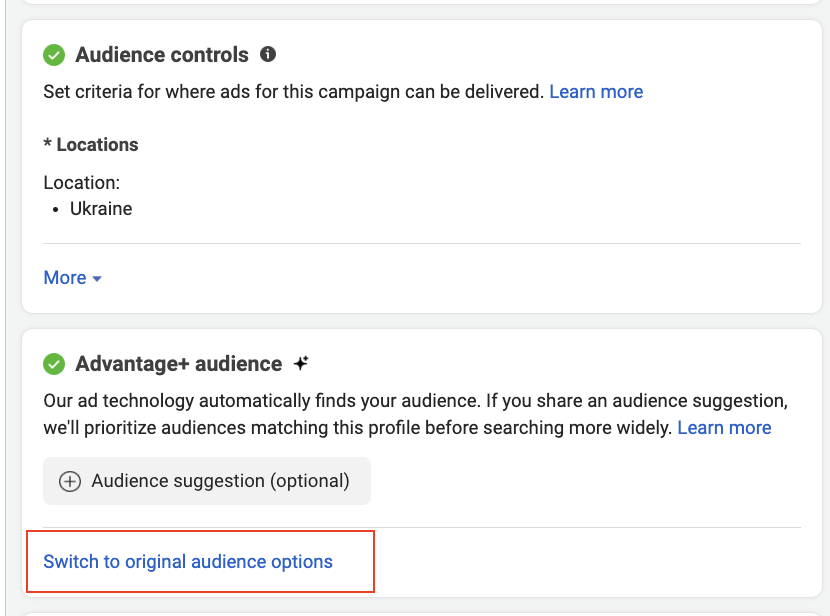 Creating an audience at the stage of ad group settings in Meta Ads
